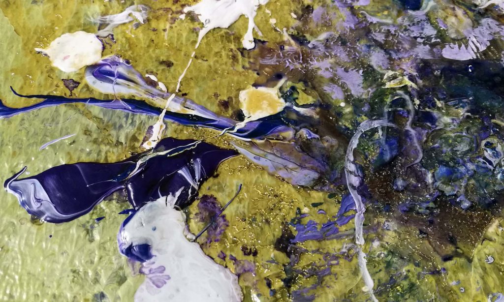 coral_formas_loro_manchas_algas_amarillos_azules